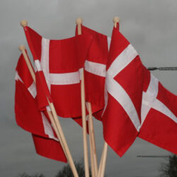Vifteflag i stof (str. 21x28 cm) på træpind med knop.